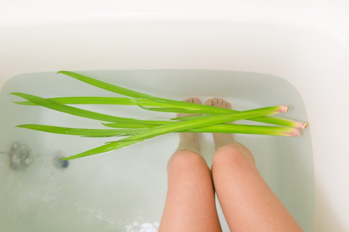 季節のお風呂：5月『菖蒲湯 しょうぶ湯 』の作り方 子どもの日と由来東京ガス ウチコト