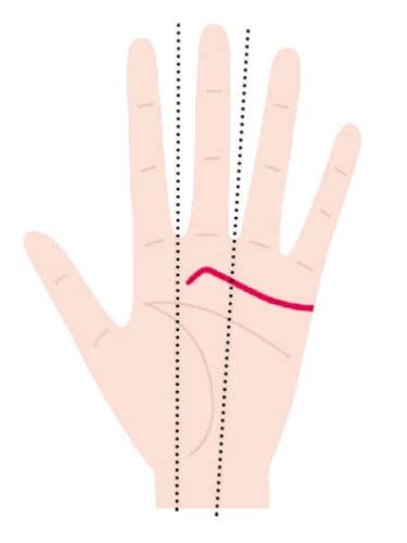頭脳線イラスト無料イラスト・フリー素材なら「イラストAC」