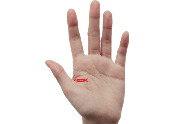 手相 いつの間にか現れる幸運のフィッシュを探そうウラスピナビ