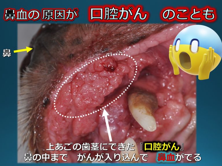 鼻の中が腫れていて赤い・痛い！できものに使える市販薬 9選！ 医師解説– EPARKくすりの窓口コラムヘルスケア情報