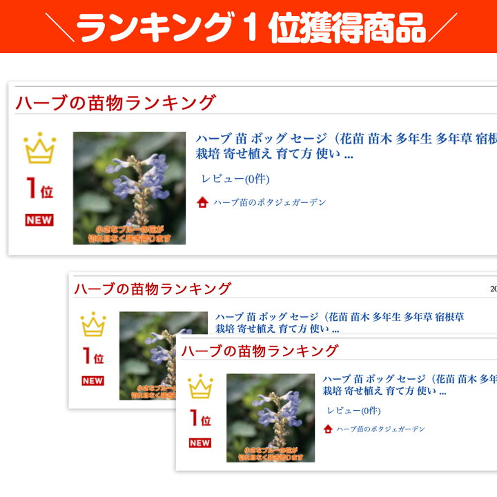 ガーデナーさんに聞く3つのガーデニングのコツ♡ 英語でガーデニング③Yokoの英語も学べる素敵なブログ♡