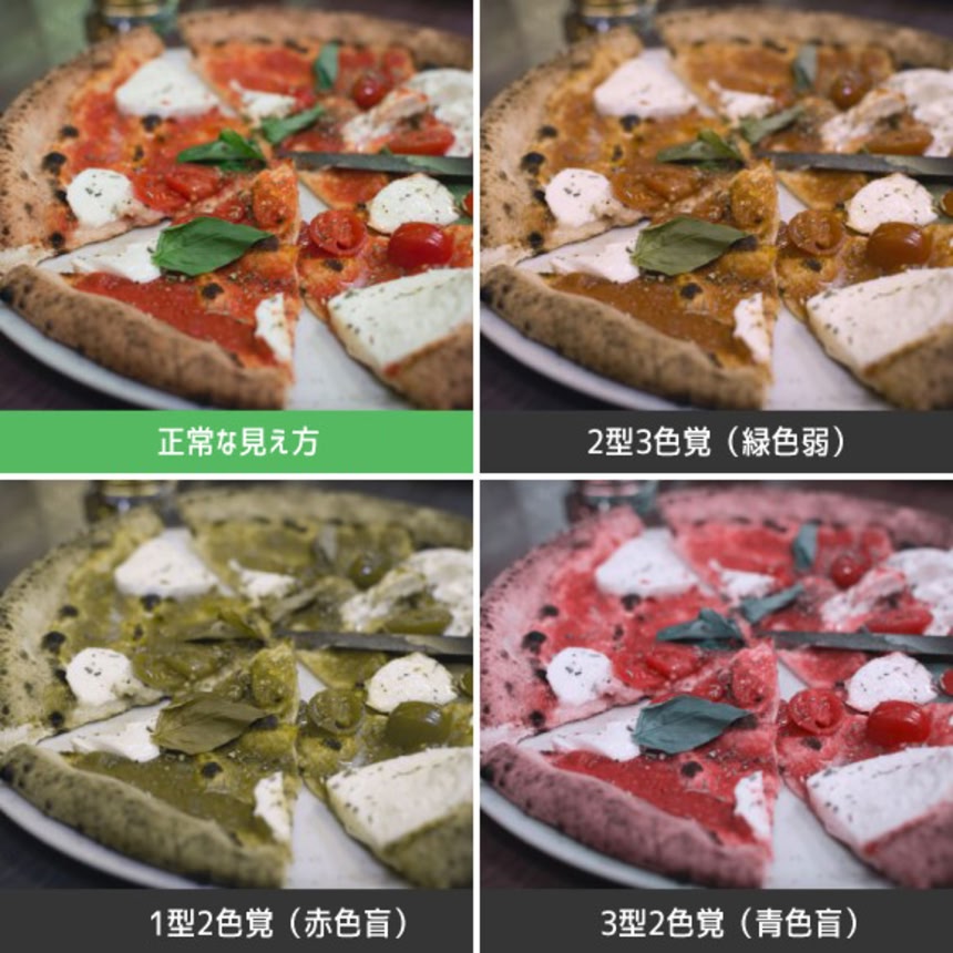 哺乳類の色覚の進化 – 目医者情報