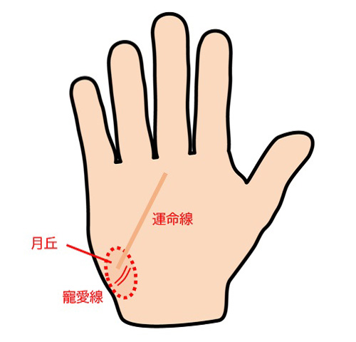 手相占いの基本を解説！運命を読み解く7大線と9つの丘の意味とは？日本占い師協会 JFTA