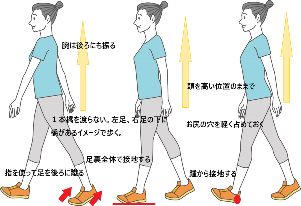 岡山市 反張膝が気になる 20代ブログ岡山の整体ならO脚・X脚矯正専門ペルピエ