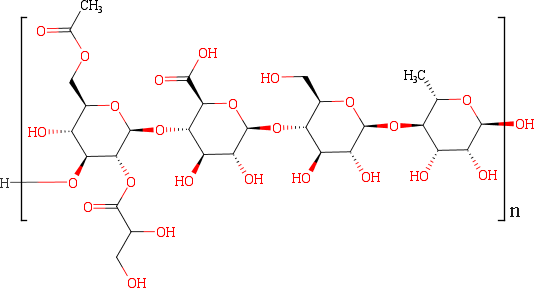 トラガカントガム E413- 近くの健康食品