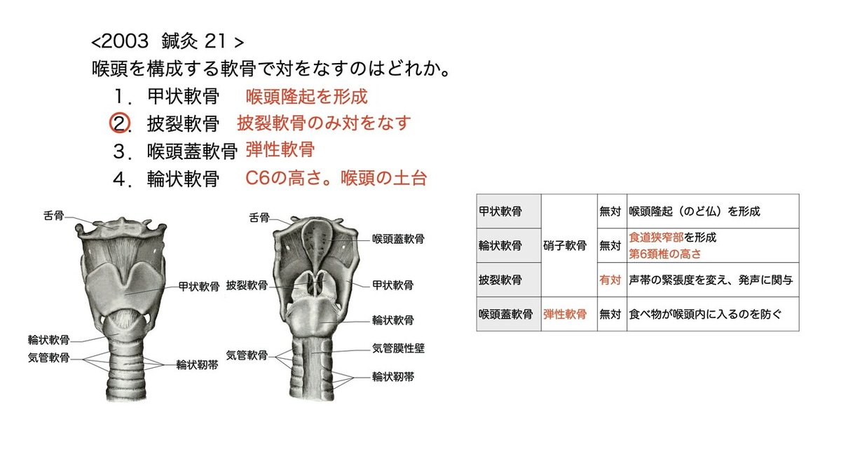 3.咽頭・喉頭 頭頚部病理診断教育支援