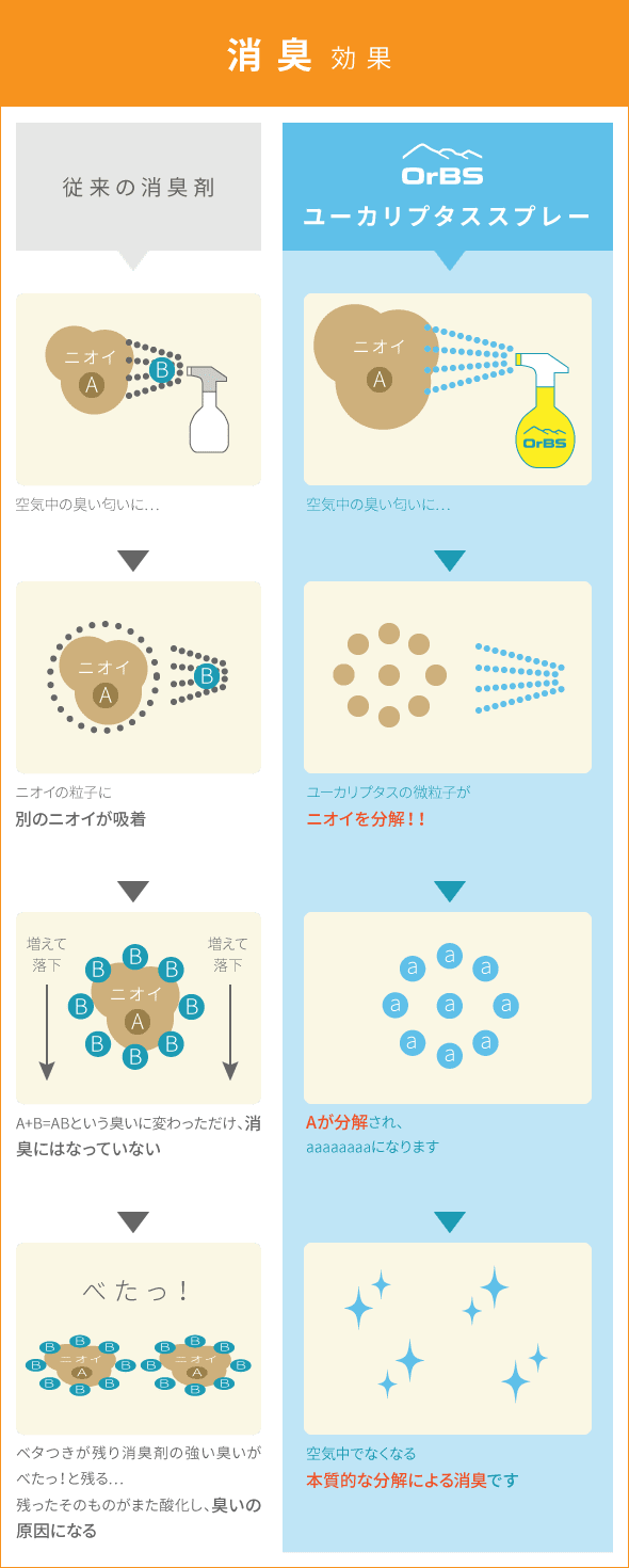 ユーカリ・ラディアータの香りと効能・使い方アロマ専門通販サイトアットアロマ オンラインストア
