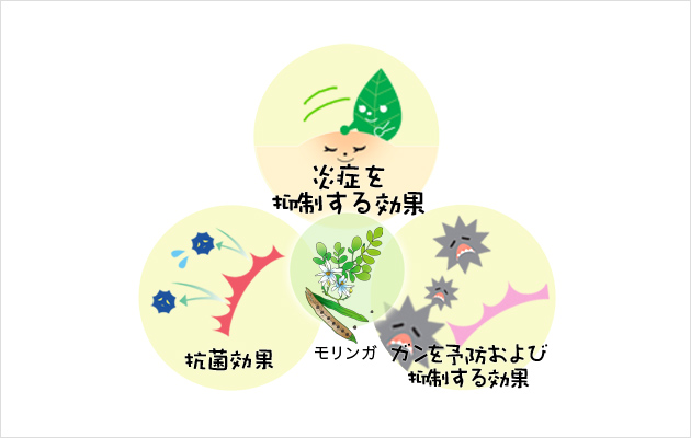 モリンガ 100% 無添加 有機JAS 無農薬 モリンガサプリ 有機JAS認証 純度100% 着色料 保存料 未使用 和漢堂 モリンガ習慣 180粒moringa : z a i k u - 通販 - Yahoo!ショッピング