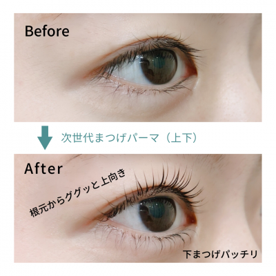 ラッシュリフト 上下でパーマをかけるとまつげが伸びる理由 - アントス埼玉県 大宮 のまつげエクステ・まつげパーマ・眉毛専門店高品質＆心のこもったおもてなしと快適な空間でくつろげるサロン