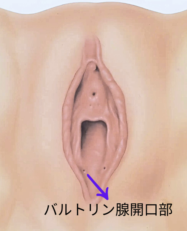 美容外科・美容皮膚科・形成外科 共立美容外科仙台院