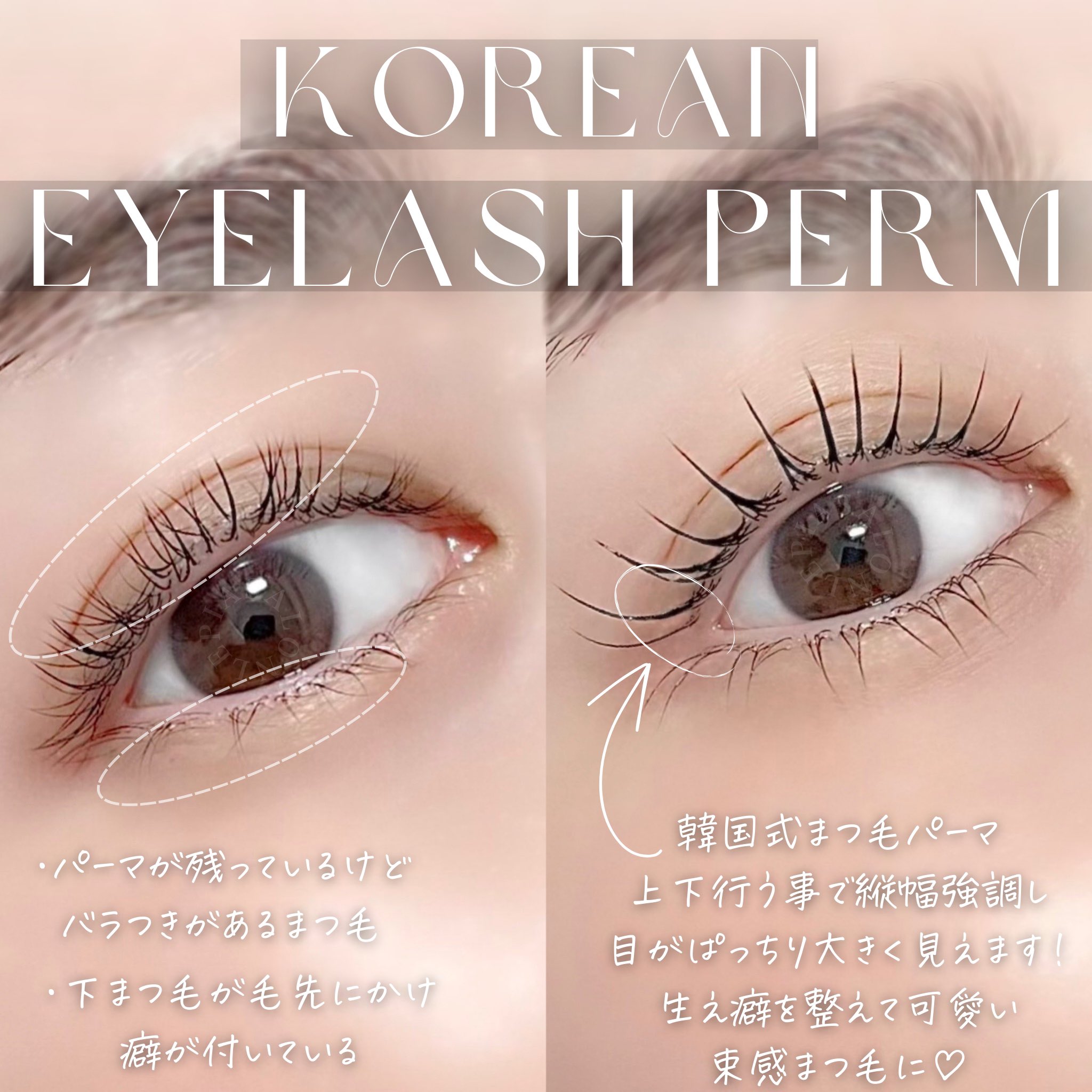 束感×長持ち×施術時間短縮 話題の韓国式まつげパーマが日本でできる！＠BAILA