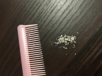 大人気！まとめ一覧 公式通販 - イオンケアブラシプレミアム 人気アイテム多数 ヘアブラシ・コーム - ヘアブラシ・コーム