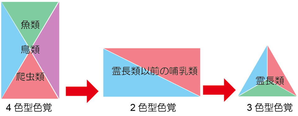 紅葉で高揚できる、楽しめる～過度な不安必要なく～ダイバーシティ 多様性 時事メディカル時事通信の医療ニュースサイト