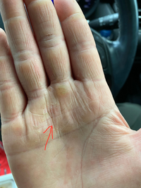 あの運気がほしい！ 手相を変える方法を安喜良占い師が伝授当たるエキサイト電話占い 最大8,500円無料