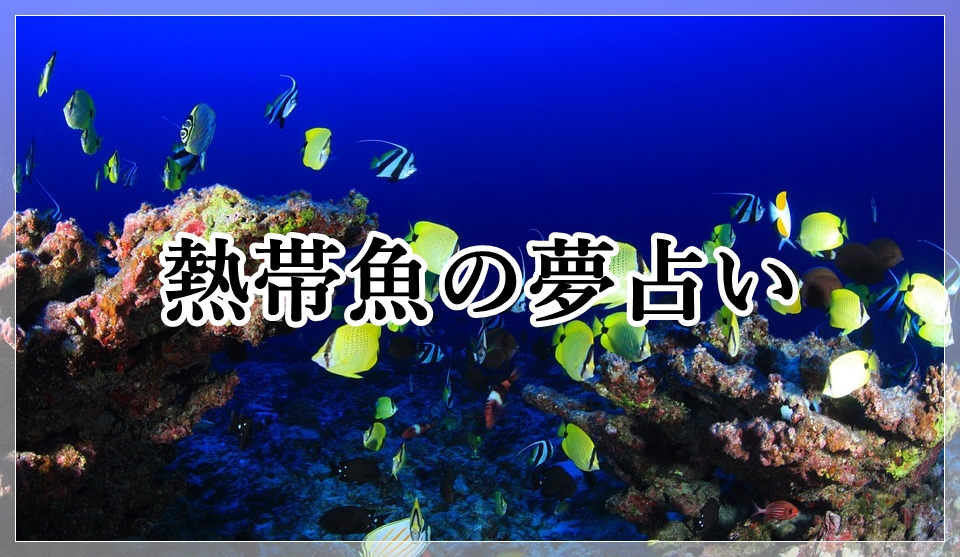 夢占いで金魚が水槽から飛び出す夢の意味と解釈