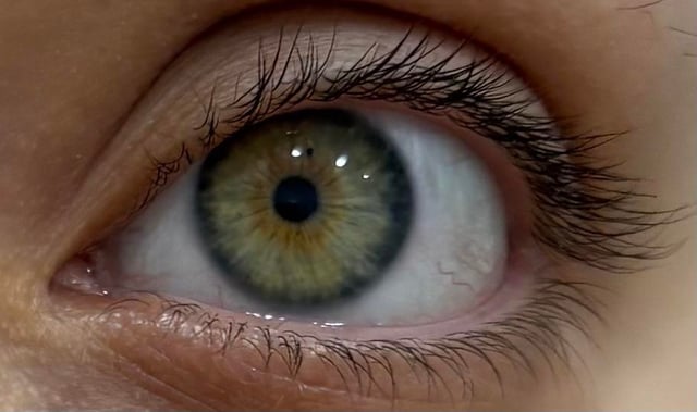 私の目は茶色？それともヘーゼル？ : r eyes