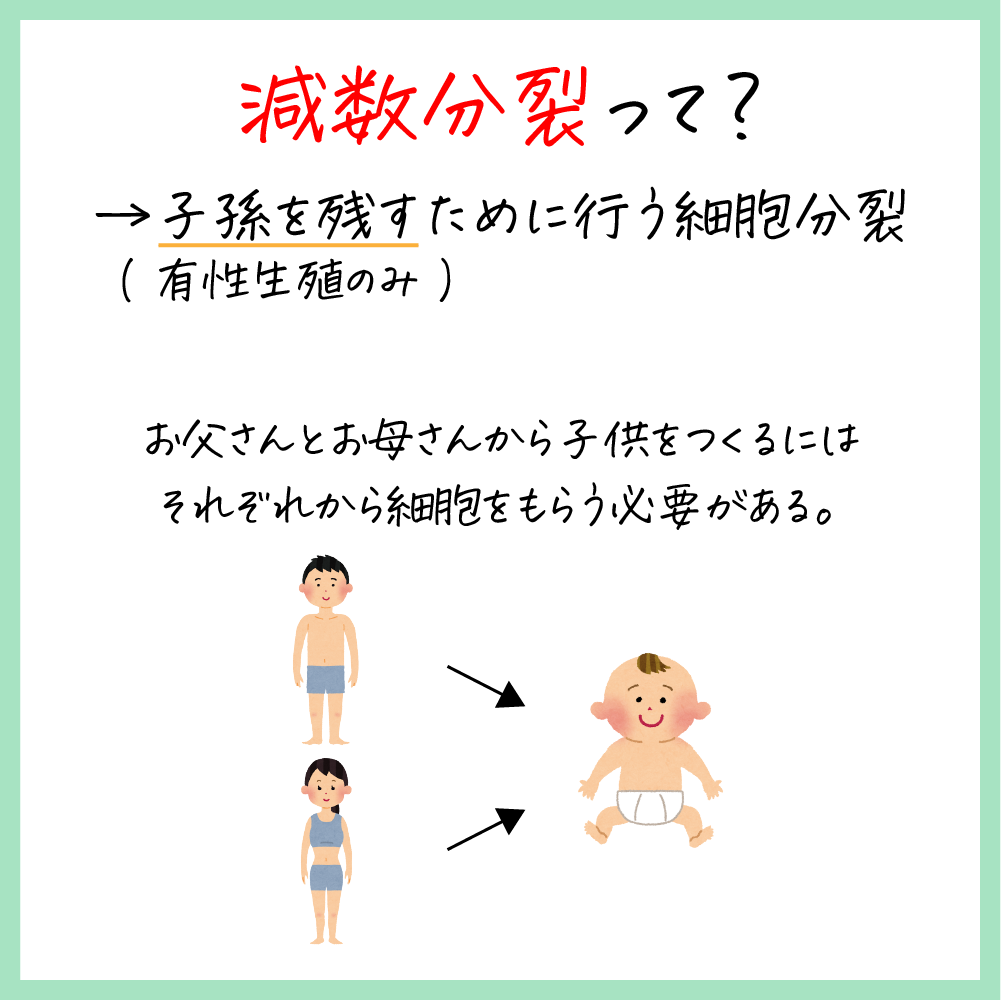 人の細胞数の変化・？パルサンテ株式会社