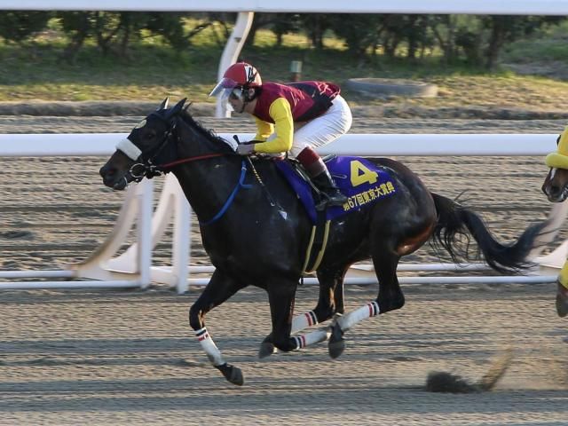 客室のご案内｜Hotel Castle（キャッスル）｜高知県高知市・はりまや橋・ひろめ市場