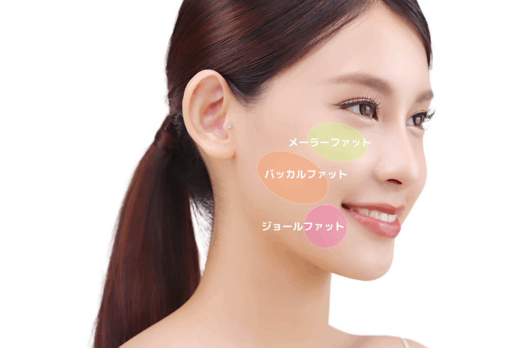 ほっぺたに肉をつける3ステップ 矯正・食べる・噛む- 小顔矯正・整体を東京でお探しならRevision