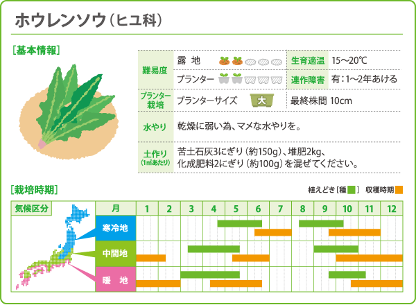 秋冬栽培スケジュール育てて食べる。はじめてさんのエディブルガーデン8月編LOVEGREEN ラブグリーン