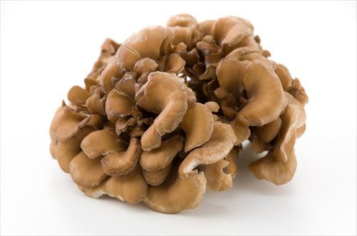 しめじにカビ？白いものがついてるけど食べられるの