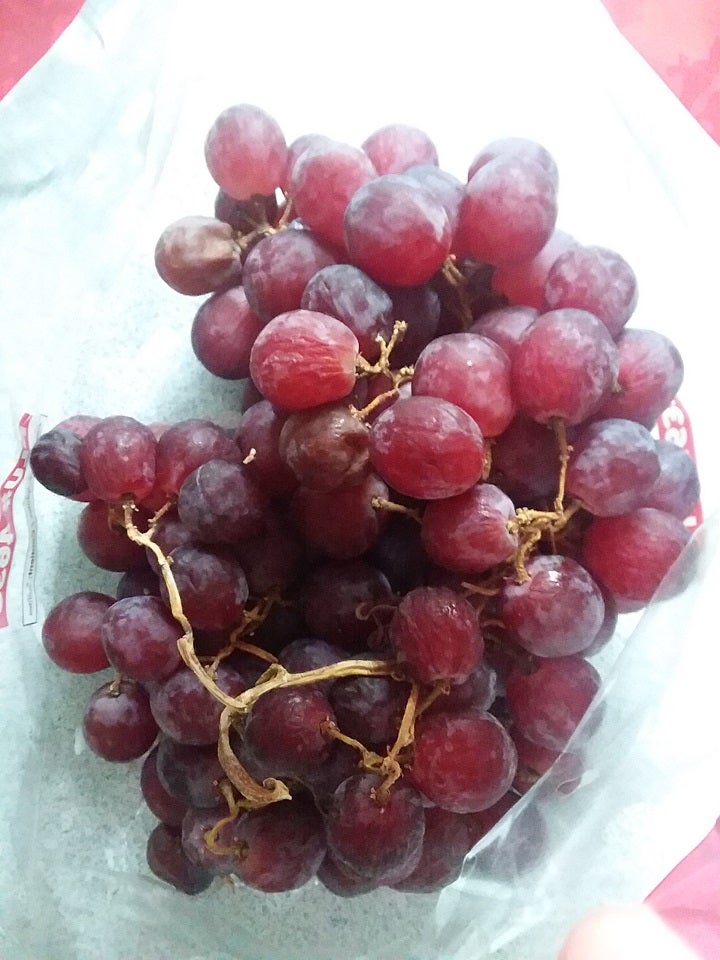 雨が降らないのでぶどうがシワシワです