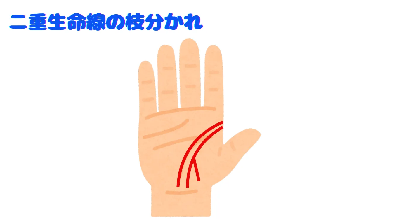 手相 生命線が枝分かれして二重化する時 手相が教えるその人の活躍時期手相通信ブログ