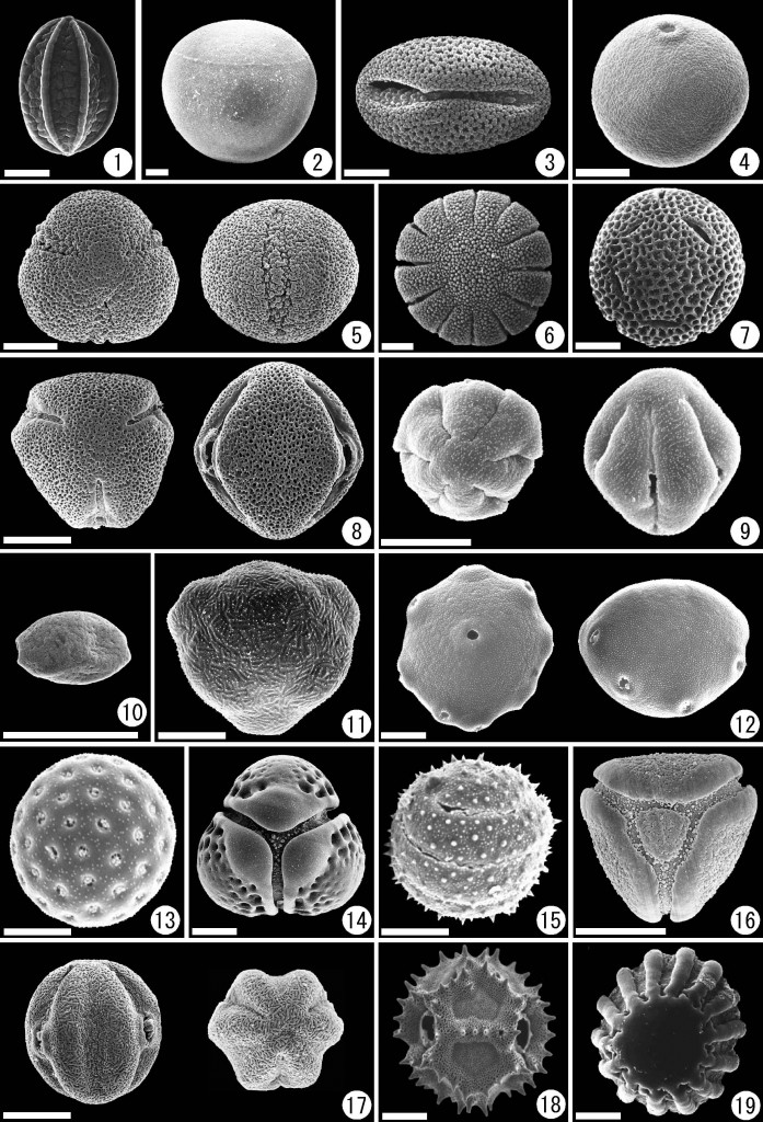 古環境解析研究室 藤木 利之 Blog岡山理科大学基礎理学科BLOG