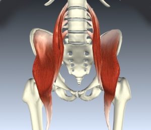 腸腰筋を効果的に鍛える筋力トレーニング１５種のやり方を専門家が詳しく解説TORECON