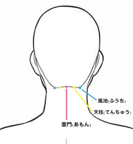 風池のツボの効果とは？頭痛・めまい・眼精疲労の改善に役立つ押し方を解説！ - 広島県の整体院は セラピストプラネット