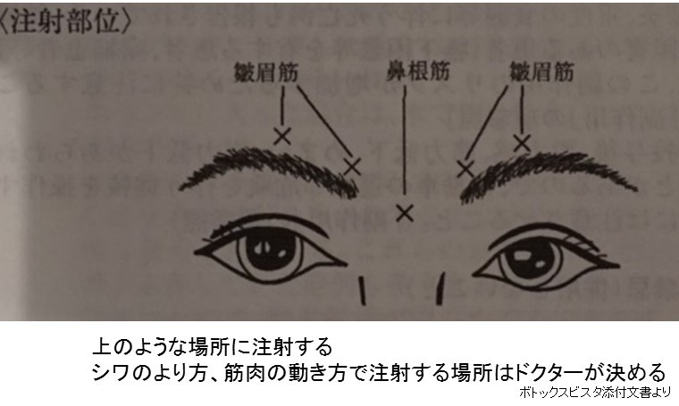 眉頭、眉山、眉尻の正しい位置メンズ眉サロンibrowenアイブロウンアイブロウン