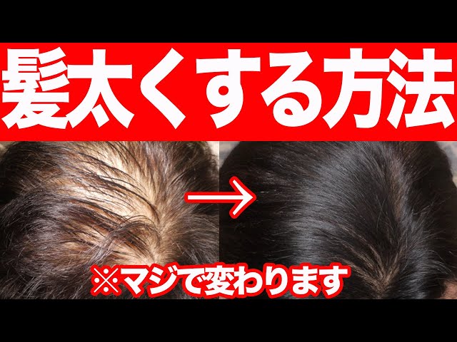 現役美容師が教える』パーマで決まるメンズの薄毛カバー術を公開！渋谷×美容院Stujio スタジオ