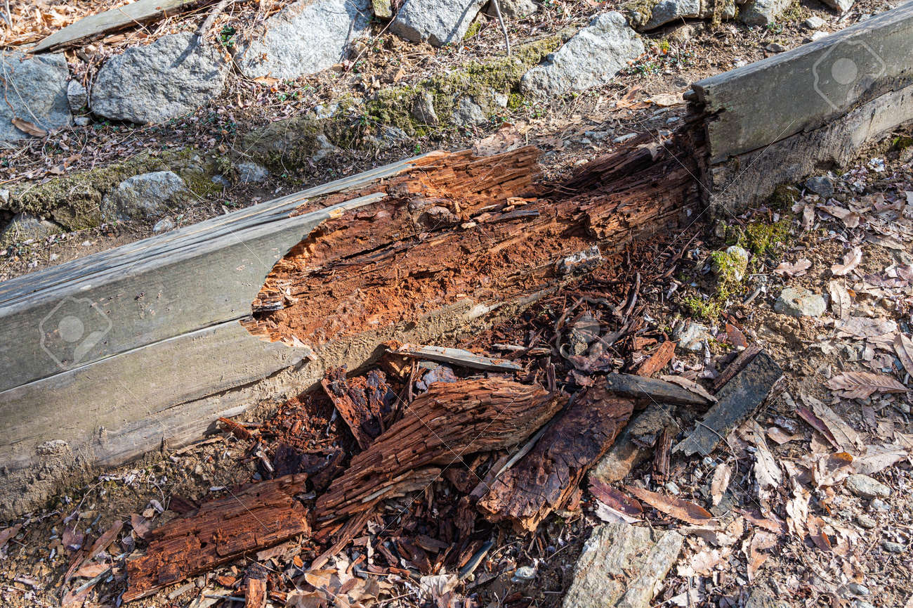 腐食したウッドデッキ。女性でも補修できた！根太交換編さんぽmichi