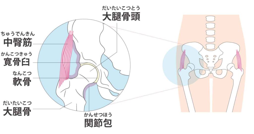 WHOによる空気質のガイドライン－2000－