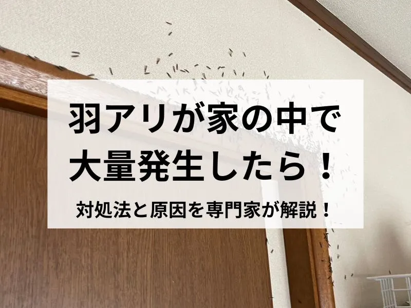 81,900点を超える蟻のストックフォト、写真、そしてロイヤリティフリーの画像 - iStockアリ, 蟻 列, 魚