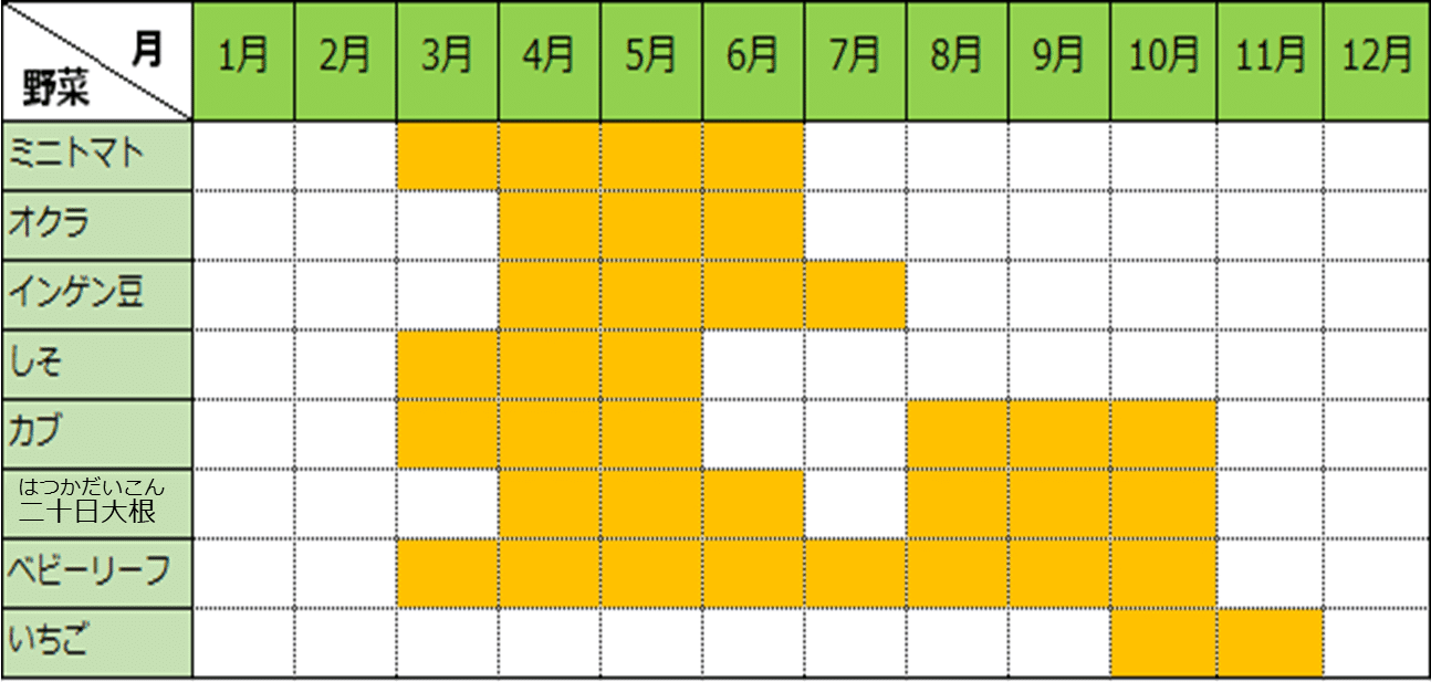 野菜作りの計画を立てよう！種・苗・球根・ガーデニング用品・農業資材の通販サイト タキイネット通販