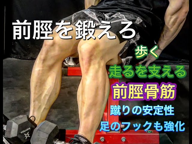 上半身を鍛えるダンベル筋トレメニュー3種目 初級・中級・上級者にもおすすめ エスクァイア日本版
