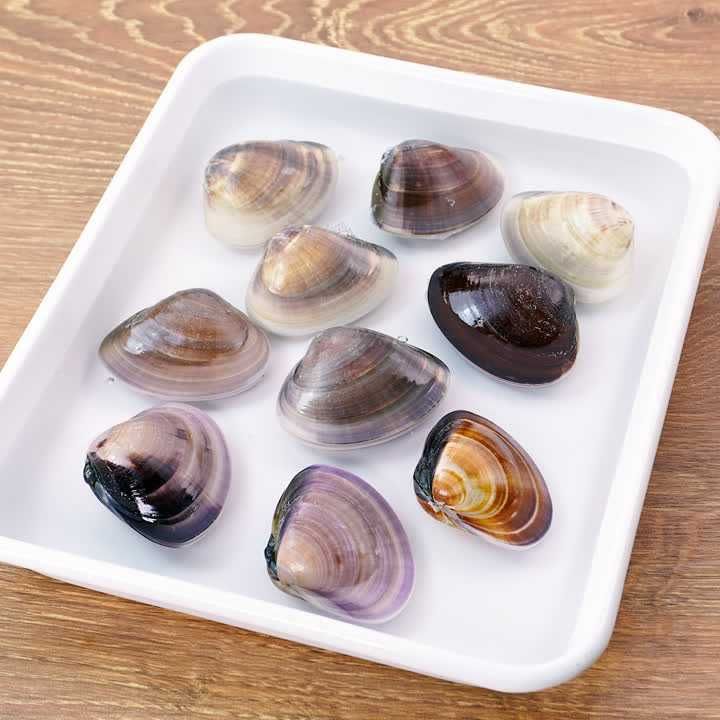 決定版 塩水、お湯どっちがいい？しじみの砂抜き方法を徹底解説！うまみアップの裏技も！季節の食材のHOW TOアマノフーズ公式ブランドサイト