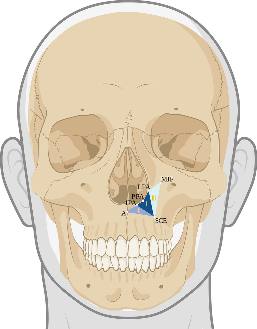 クマ撃退法 - 櫻井千春のbeauty日記櫻井千春のbeauty日記