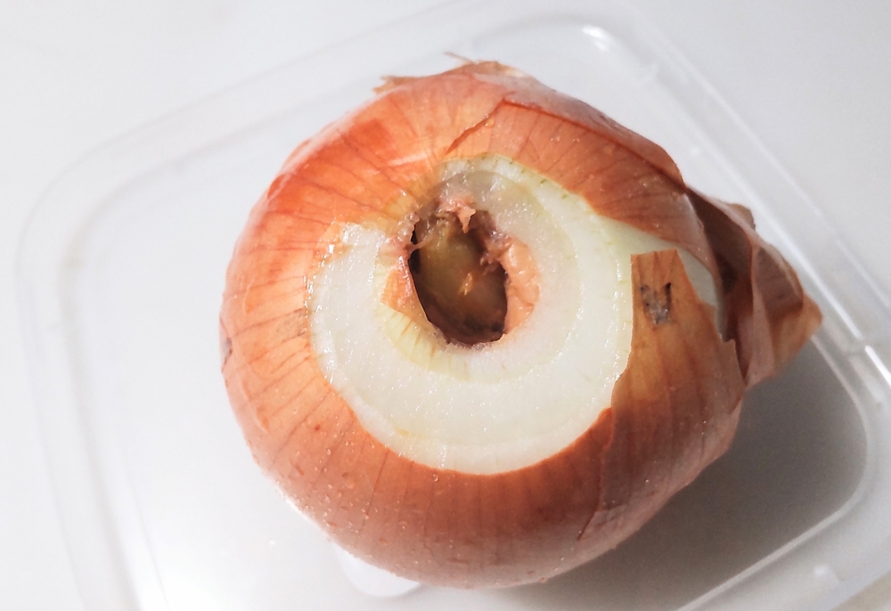 タマネギ 黒かび病石川県