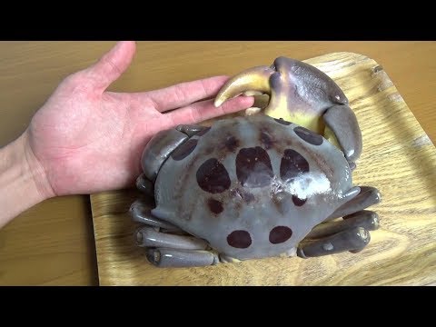 ヤシガニについて！石垣島在住スタッフが徹底解説します！ - 石垣島 ADVENTURE PiPi ピピ