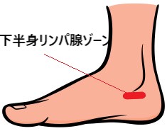 ツボ」とは違う「反射区」とは？米国医師が起源のリフレクソロジー療法の用語 - ラブすぽ