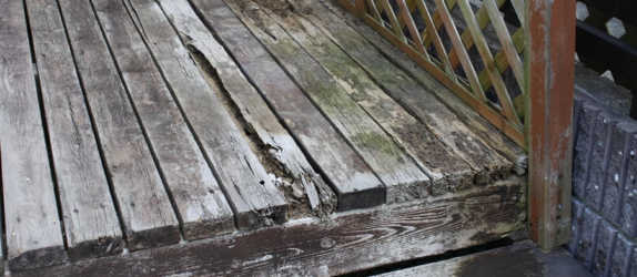 ウロが気になります - コラム