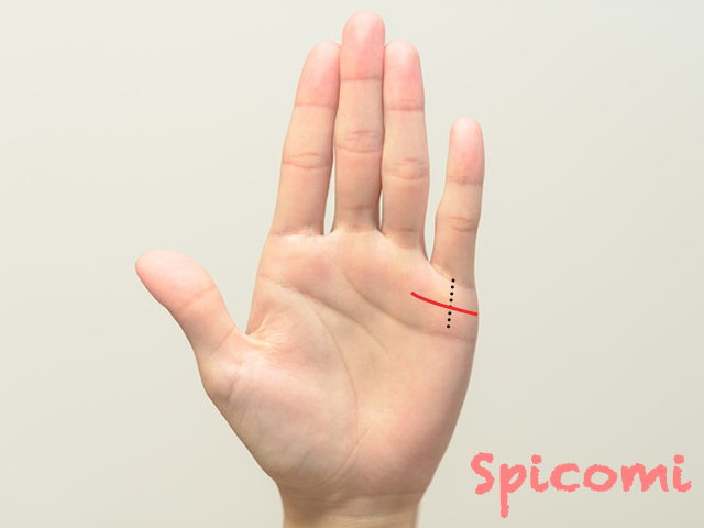 結婚線の見方とは？ 結婚年齢の現れ方と種類別の意味 手相占い 「マイナビウーマン」