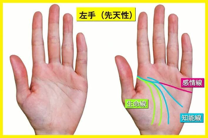 50代女性 手相🖐️粘り強い頑張り屋まず全体的に線が薄く、協調性がありますが、線の数自体は多く繊細な傾向です！ 感情線はまっすぐで物事をハッキリと伝えられるタイプ♪感情線の支線が延びて知能線とつながり、後天的ますかけ線になっているため、粘り強く頑張っ