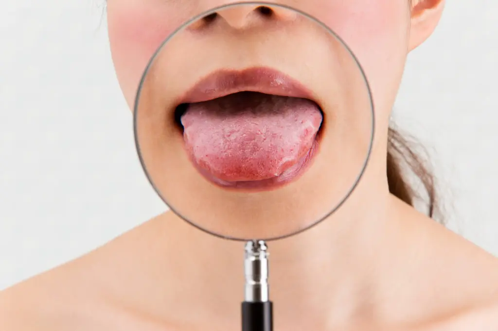 ポリプテルスエンドリケリー🌿かわいいお顔をしていますが、全長50cm以上にも成長する淡水魚です！ポリプテルスの仲間は古代魚とも呼ばれ、約4億年前から出現していたと言われています🦖👀✨Cゾーン「古代の海」に展示中です！鳥羽水族館TOBAAQUARIUM三重県鳥羽