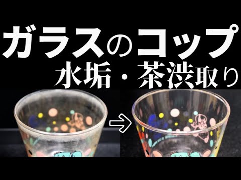 頑固な茶渋もスッキリ！毎日できる簡単な落とし方と予防法家事ネタ