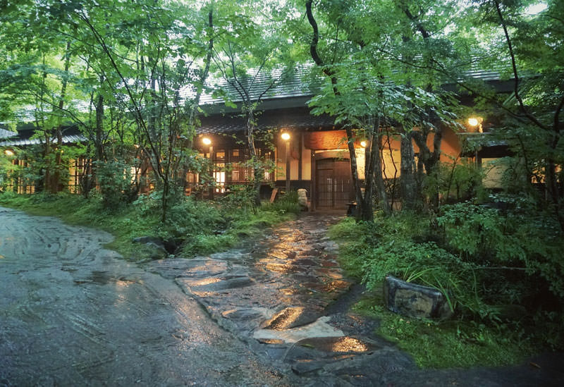 明日葉 アシタバ あしたば：旬の野菜百科