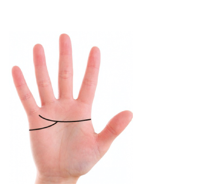 手相『知能線・頭脳線』を学ぼう！2股に枝分かれ？短いとおバカ？ 完全図解- zired