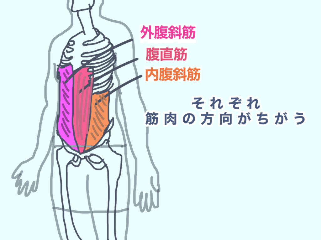 腹筋の筋肉痛について